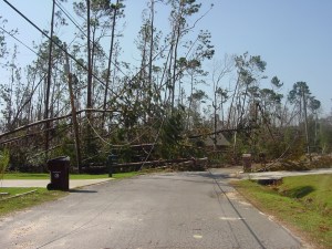 Katrina 6 – A view of the woods down one of our streets. It seems that literally every other tree in Diamondhead is either snapped or blown over. If a tree still stands, its limbs were ravaged by the wind and water.